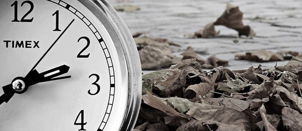 Image by S. Hermann & F. Richter from Pixabay 